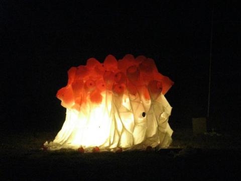 UT 2010