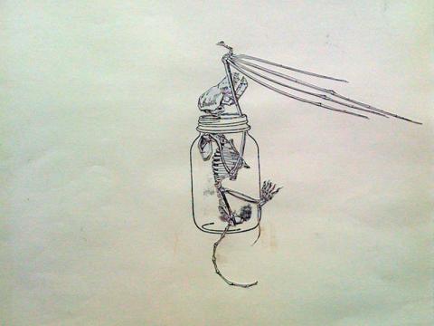 Drawings + Collages