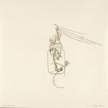 Drawings + Collages