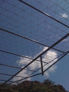 Bunkhouse Trellis