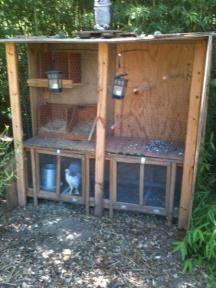 Scoular Pickin Porch