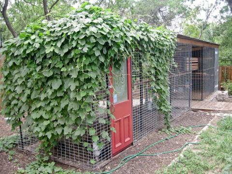 Scoular Pickin Porch