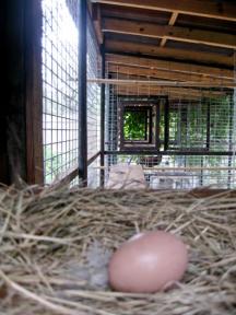 Scoular Pickin Porch