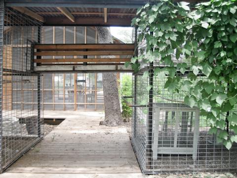 Scoular Pickin Porch