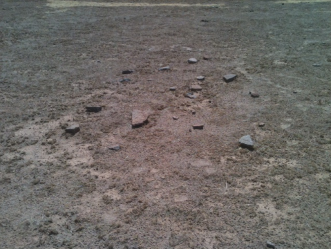 Camp-EC-7_11-1