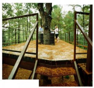 Skylark Treehouse
