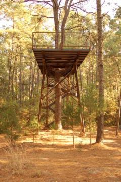Skylark Treehouse