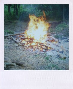 Photo-1